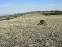 New Trail in the Medicine Bow